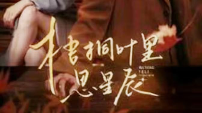 梧桐叶里思星辰 第81-100集完结(大结局)