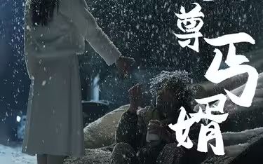 至尊丐婿 第21-40集