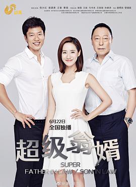 超级翁婿 第15集