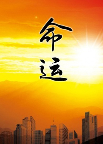 命运1999 第19集