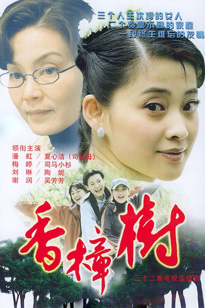 香樟树 第01集
