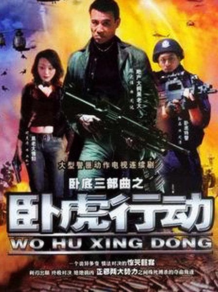 卧虎行动 第11集