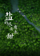 盐的尽头有点甜