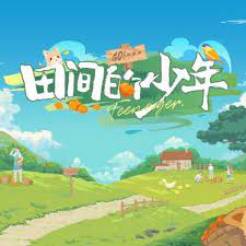 田间的少年 第20240111期