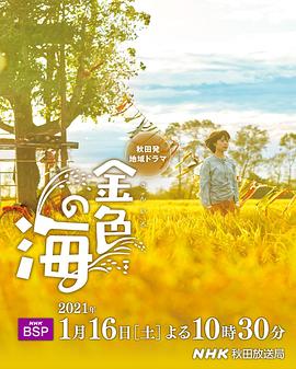 金色之海 第01集(大结局)