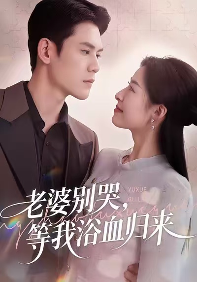 老婆别哭，等我浴血归来(全集)